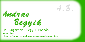 andras begyik business card